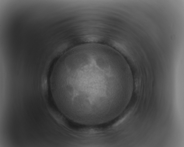 X0000089720254200706281536