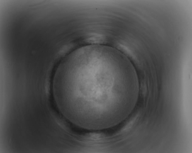 X0000089720255200706281536