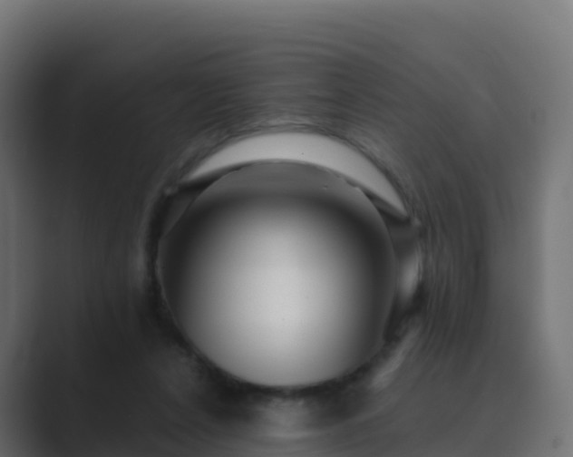 X0000089720256200706281536
