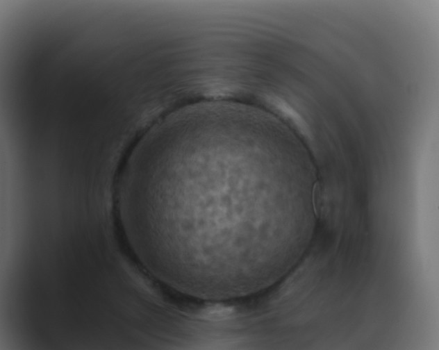 X0000089720257200706281536