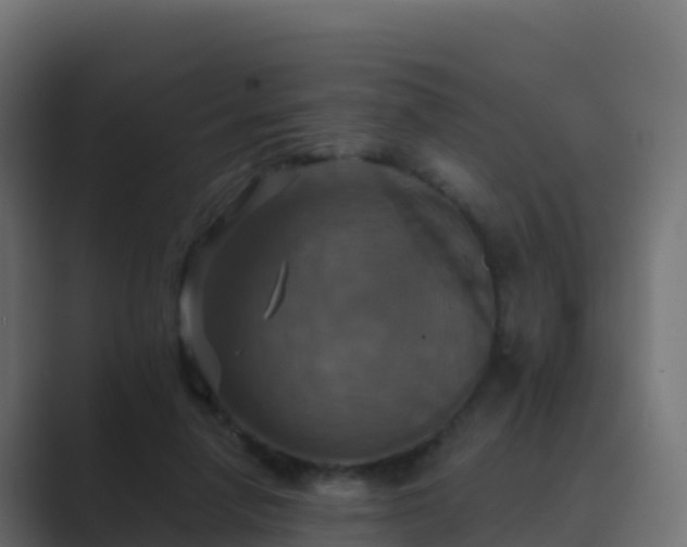 X0000089720258200706281536