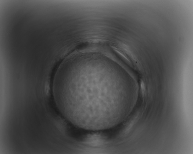 X0000089720259200706281536