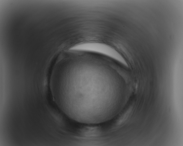 X0000089720260200706281536