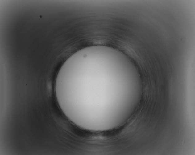 X0000089720262200706281536
