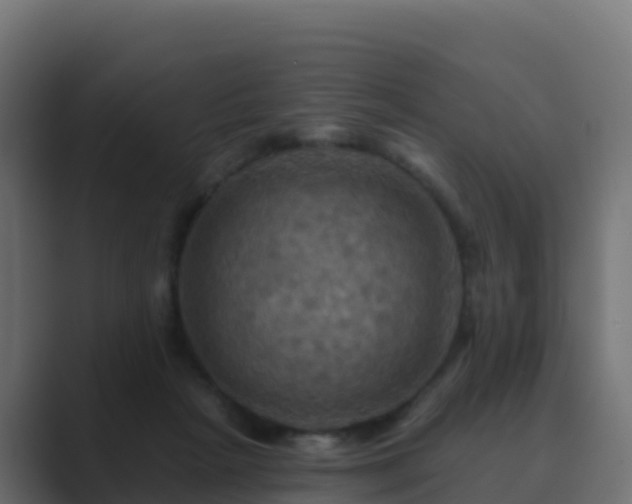 X0000089720265200706281536