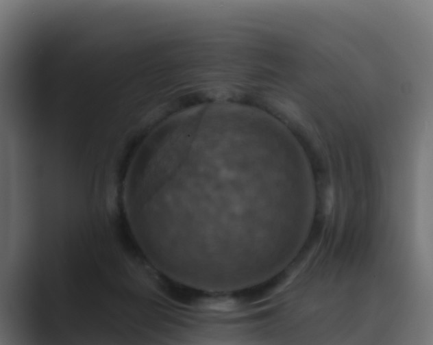 X0000089720266200706281536