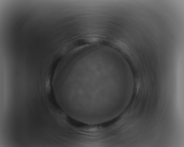 X0000089720267200706281536