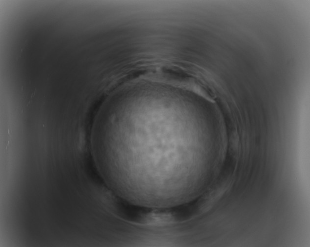 X0000089720270200706281536