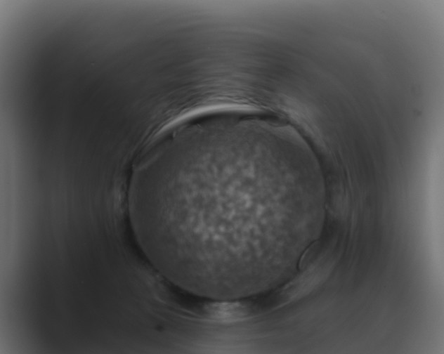 X0000089720273200706281536