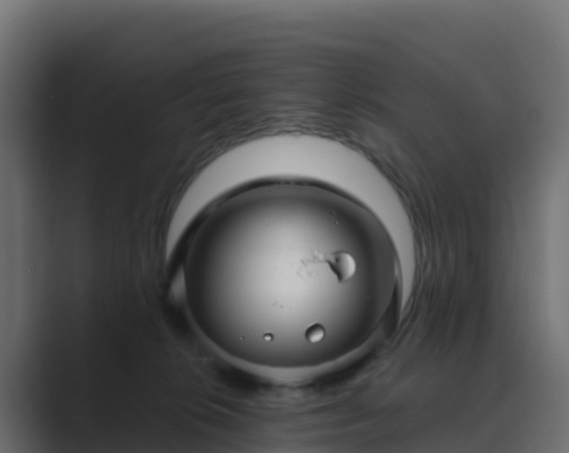 X0000089720276200706281536
