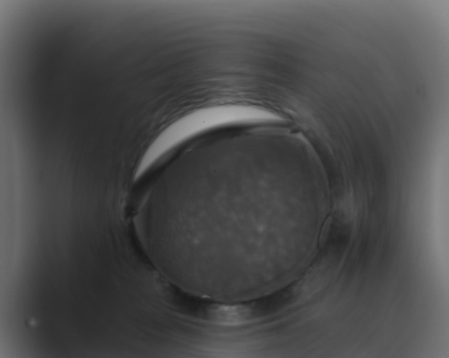 X0000089720277200706281536