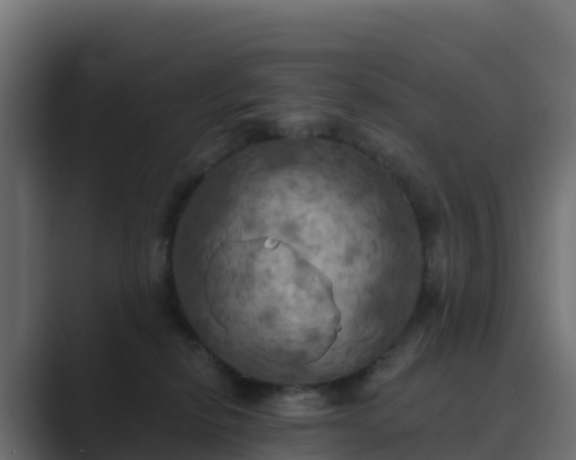 X0000089720278200706281536