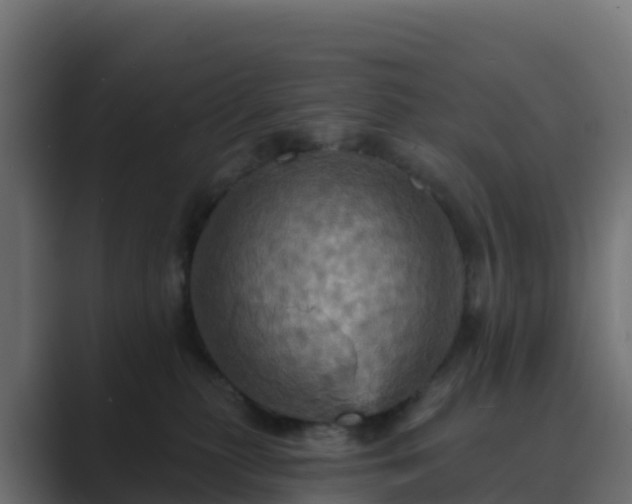 X0000089720279200706281536