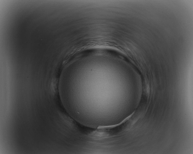 X0000089720280200706281536