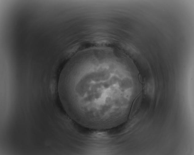 X0000089720283200706281536