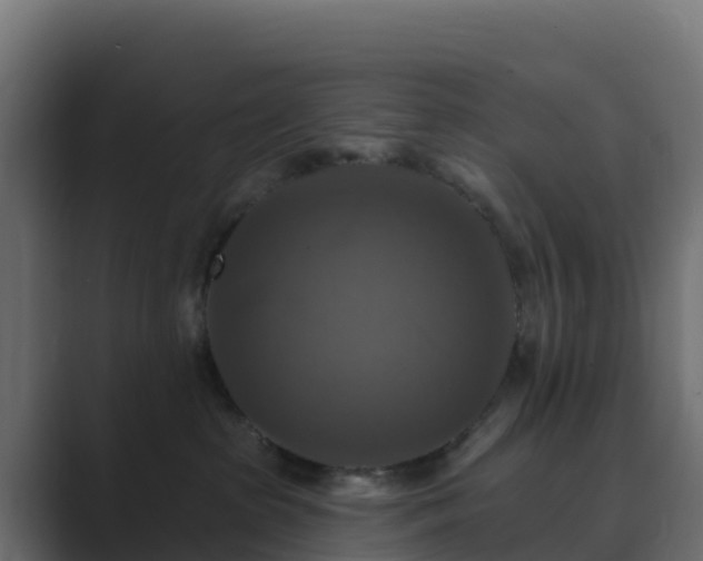 X0000089720285200706281536