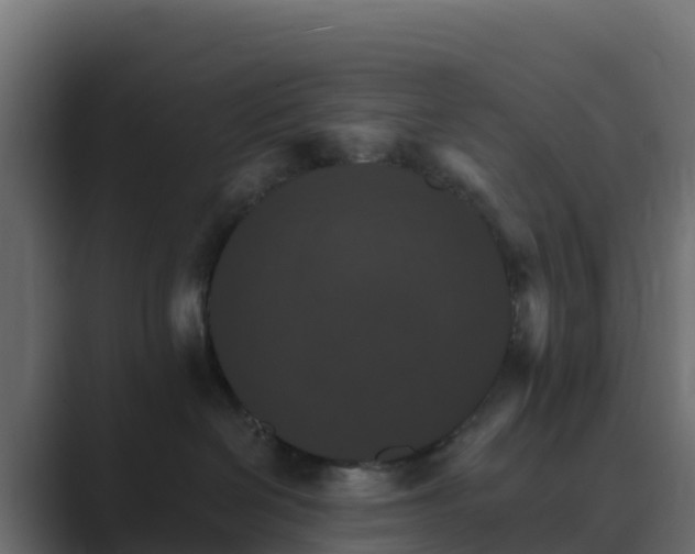 X0000089720286200706281536