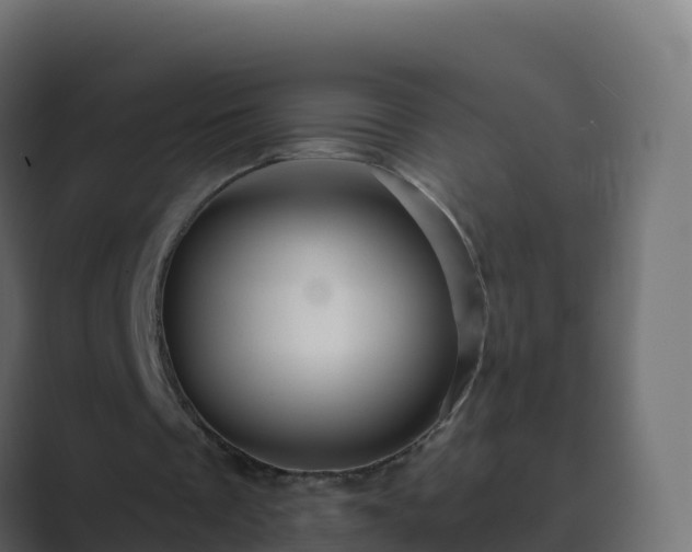 X0000089720289200706281536