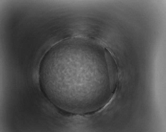 X0000089720290200706281536