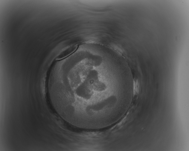 X0000089720291200706281536