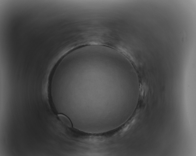 X0000089720292200706281536