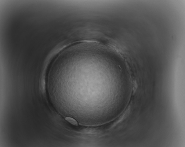 X0000089720294200706281536
