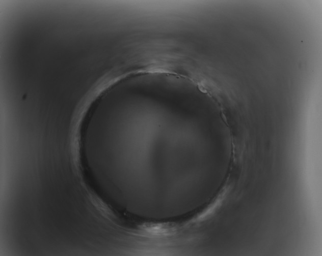 X0000089720295200706281536