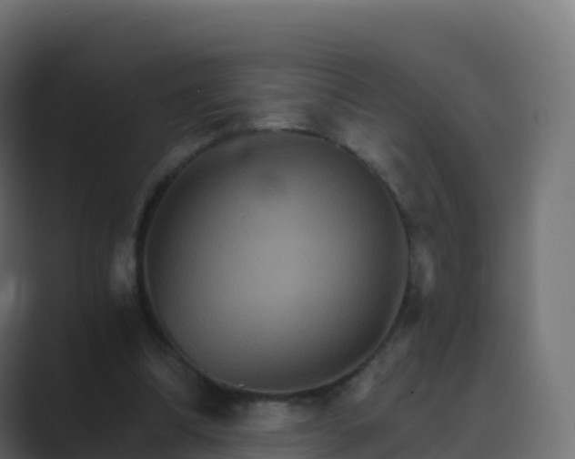 X0000089720298200706281536