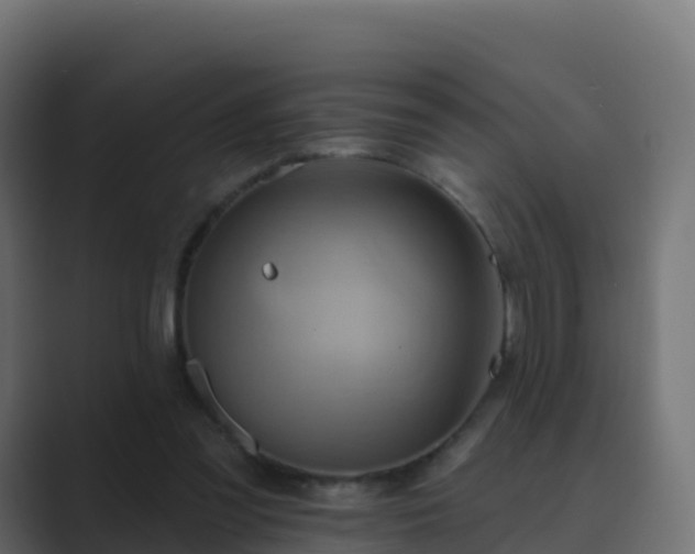 X0000089720301200706281536