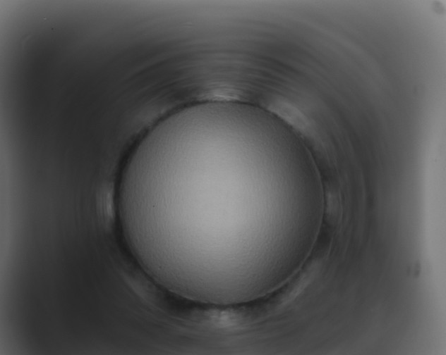 X0000089720302200706281536