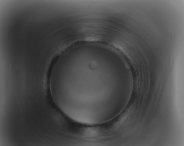 X0000089720303200706281536
