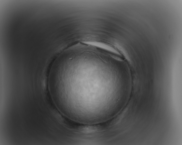 X0000089720305200706281536