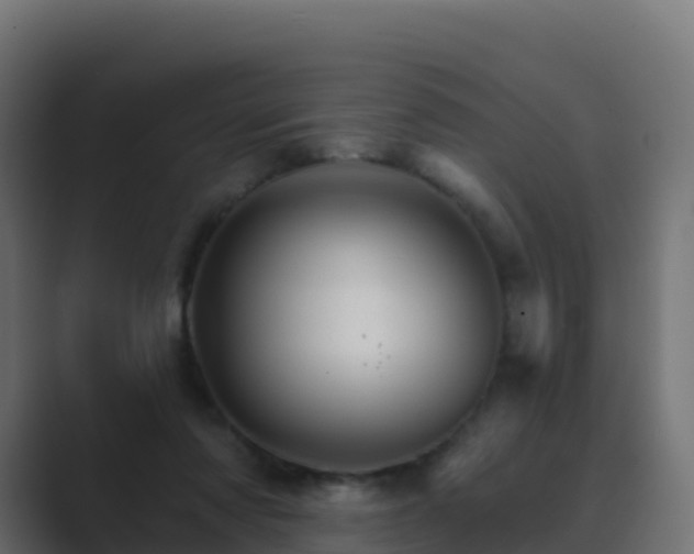 X0000089720310200706281536