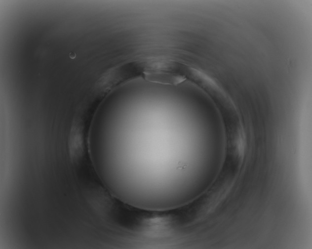 X0000089720312200706281536