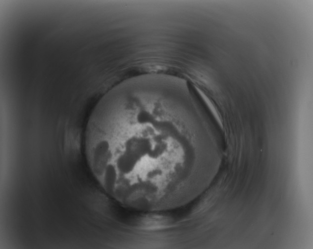 X0000089720315200706281536