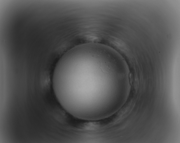 X0000089720320200706281536