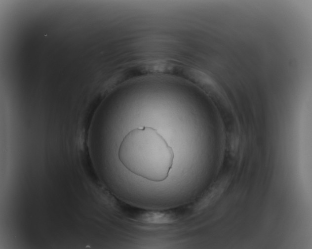 X0000089720326200706281535
