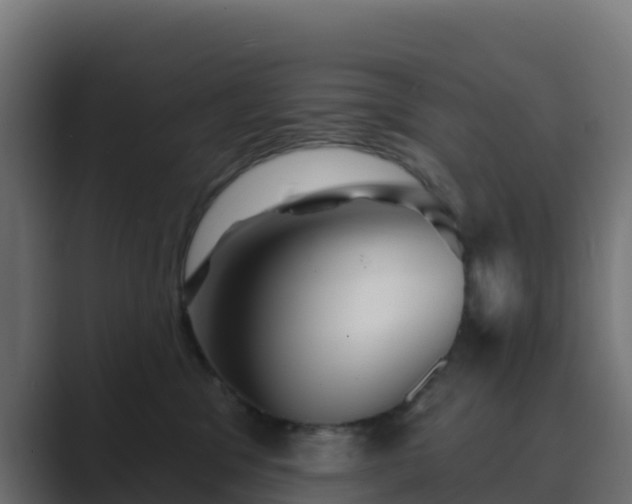 X0000089720329200706281535