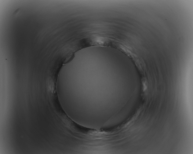 X0000089720331200706281535