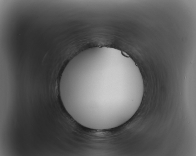 X0000089720336200706281535