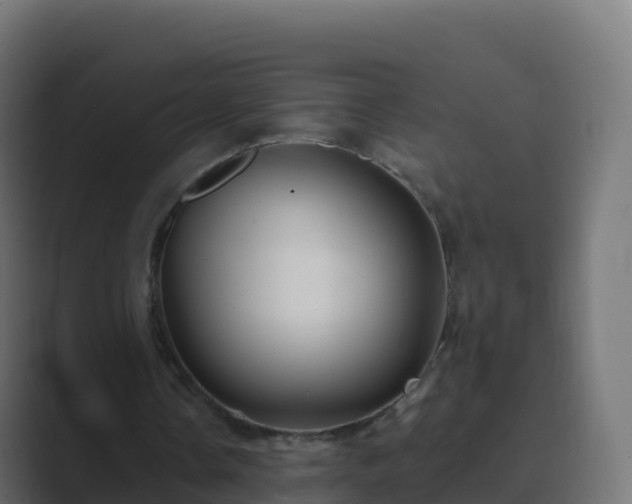 X0000089720338200706281535