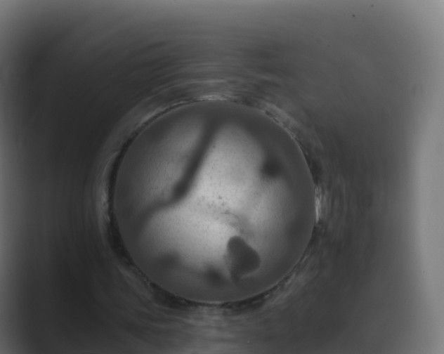 X0000089720339200706281535