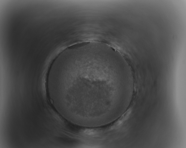 X0000089720341200706281535