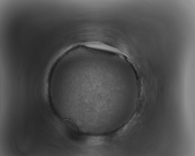 X0000089720342200706281535