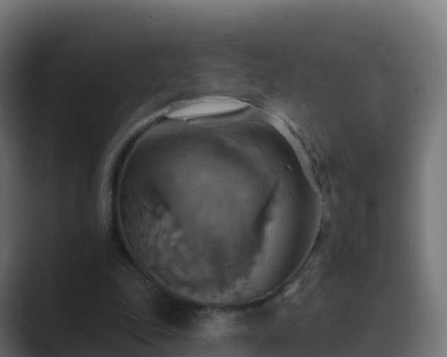 X0000089720343200706281535
