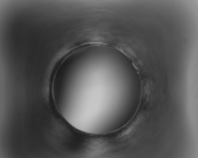 X0000089720344200706281535