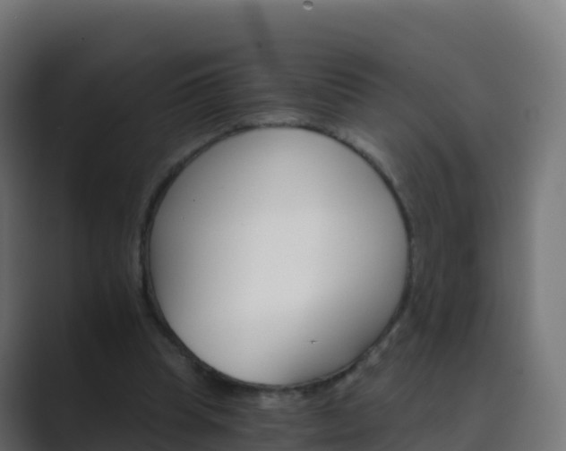 X0000089720345200706281535