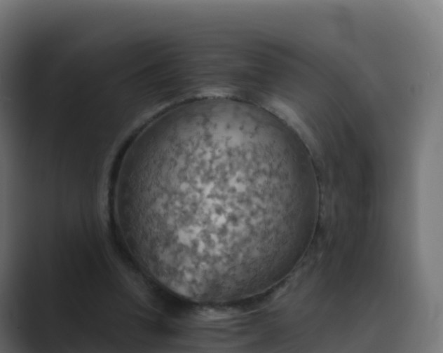X0000089720346200706281535