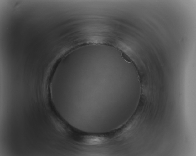 X0000089720347200706281535