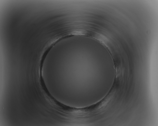 X0000089720349200706281535